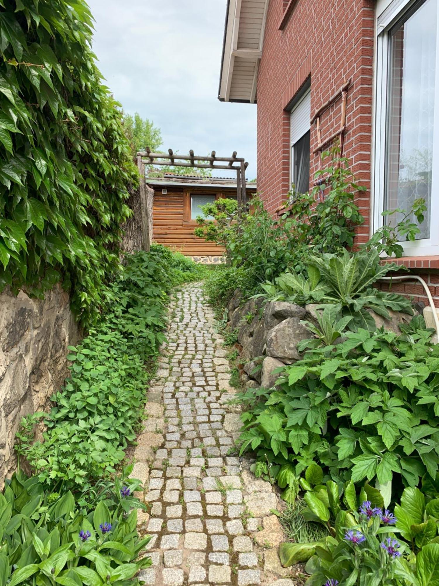 Blockhausvermietung "Vor Dem Groeperntor" Quedlinburg Buitenkant foto