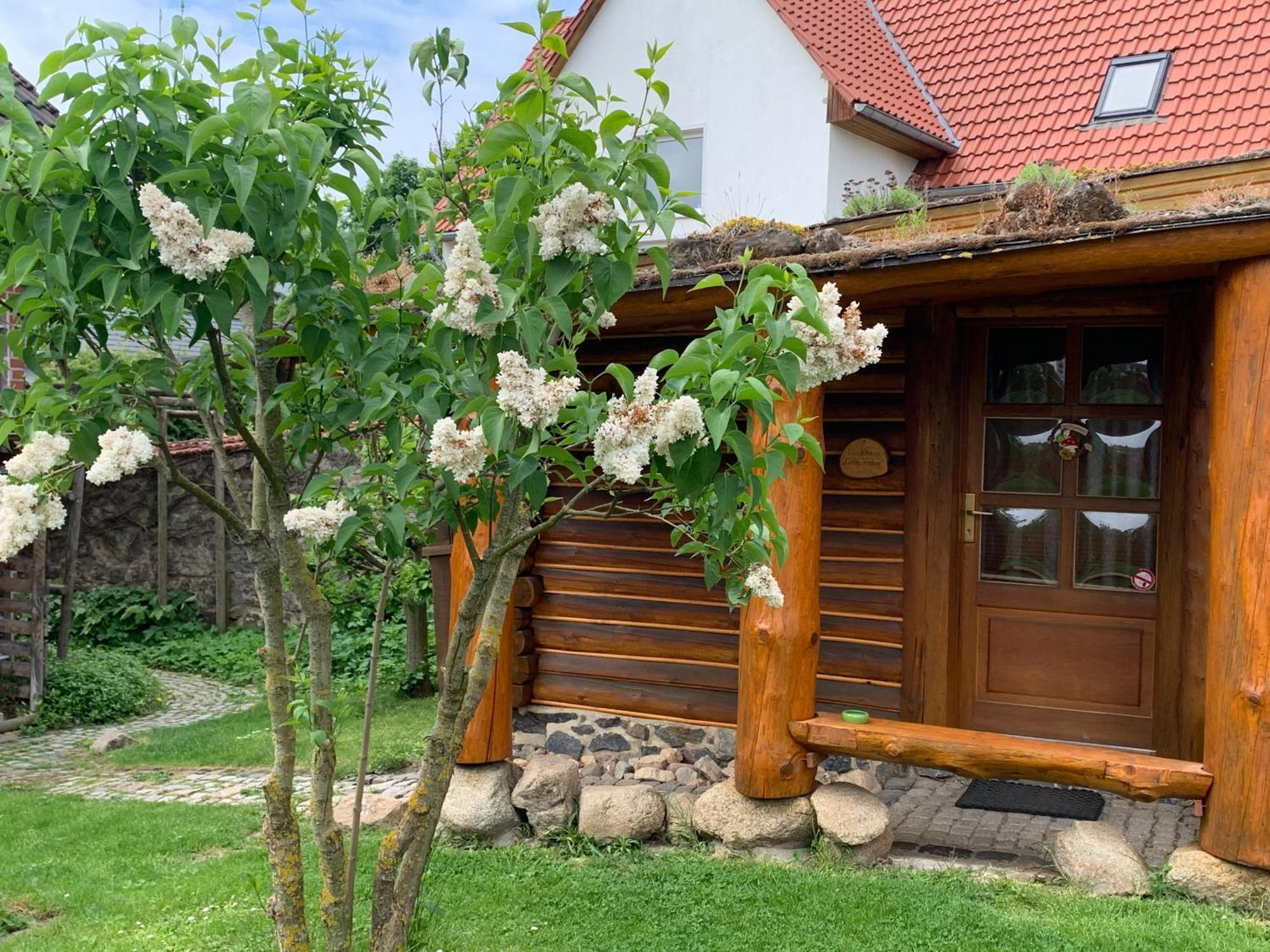 Blockhausvermietung "Vor Dem Groeperntor" Quedlinburg Buitenkant foto